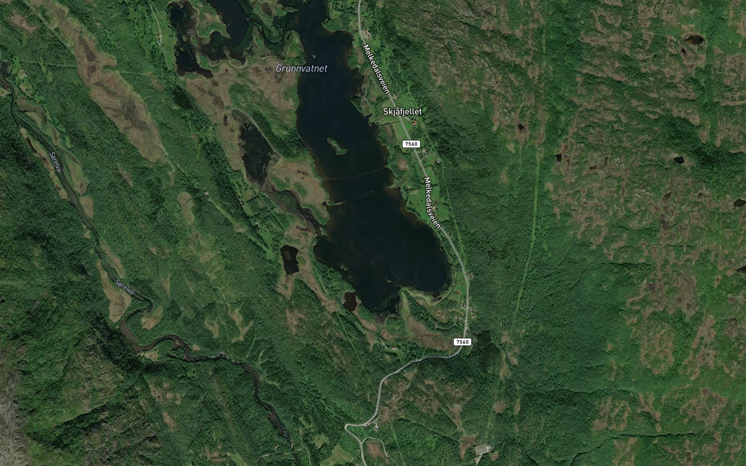 Grunnvassbotn