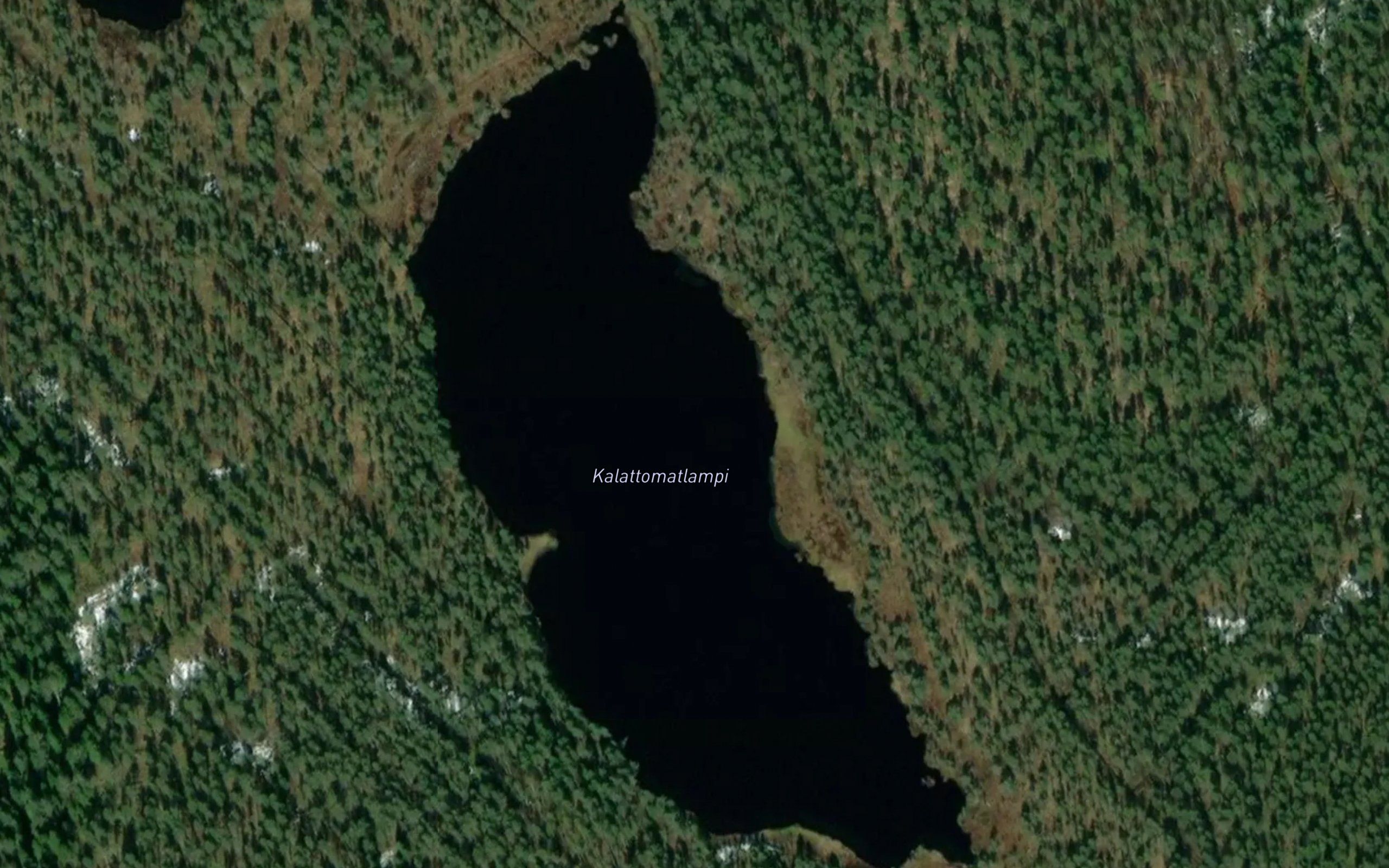 Kalattomatlammit