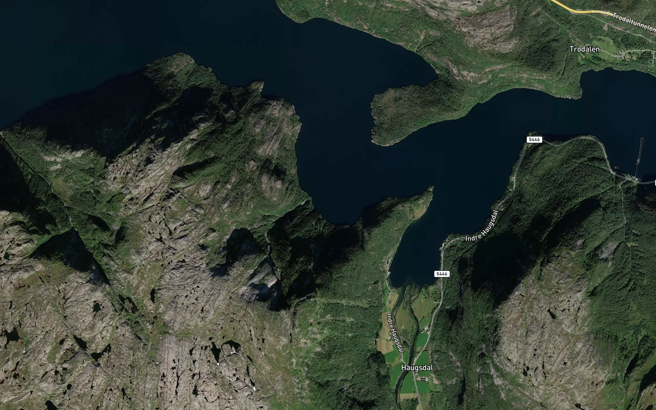 Lysebugen