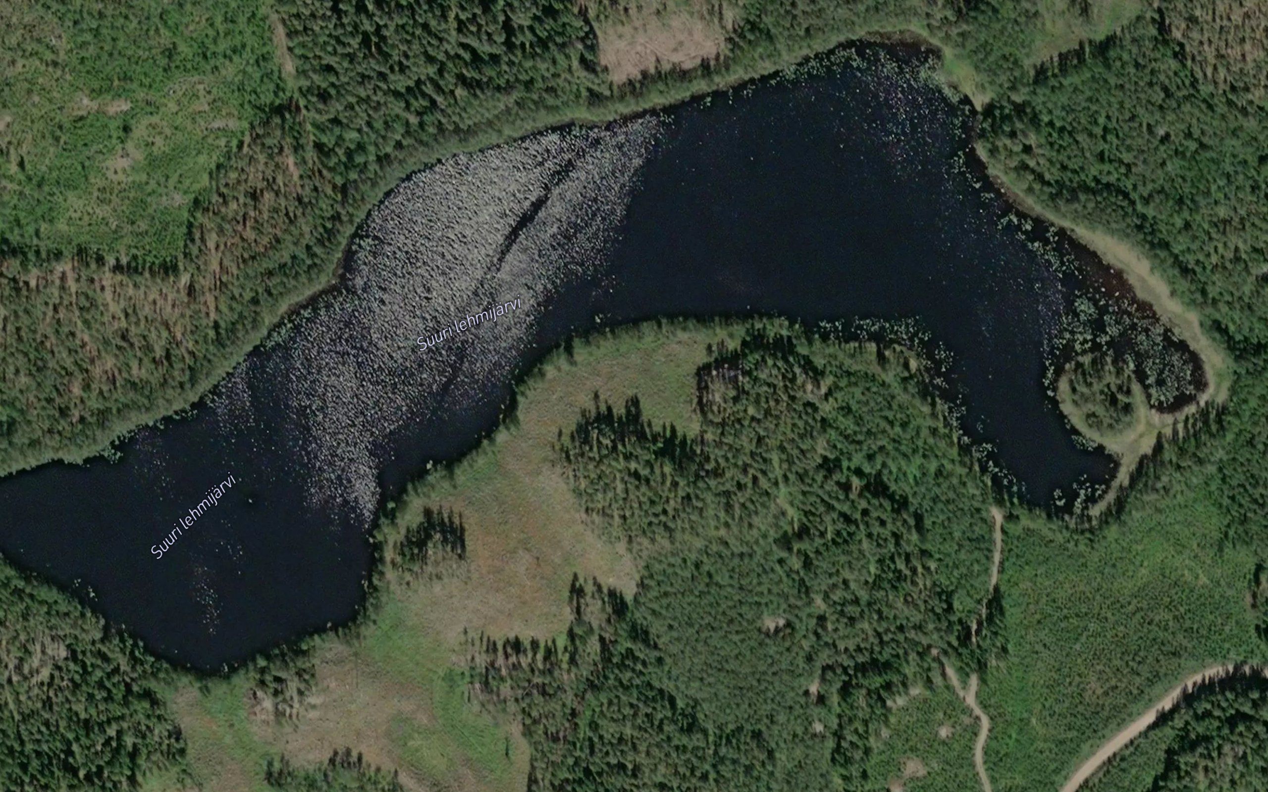 Suuri Lehmijarvi