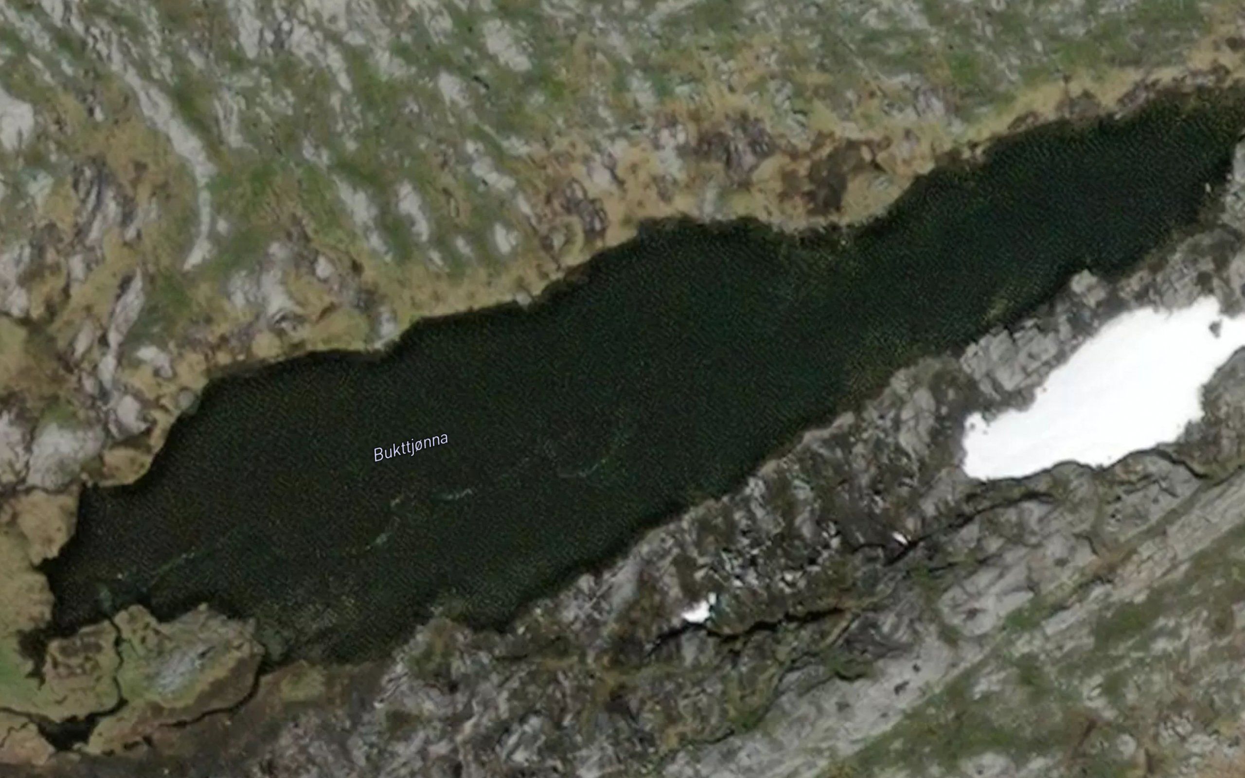 Bukttjorna
