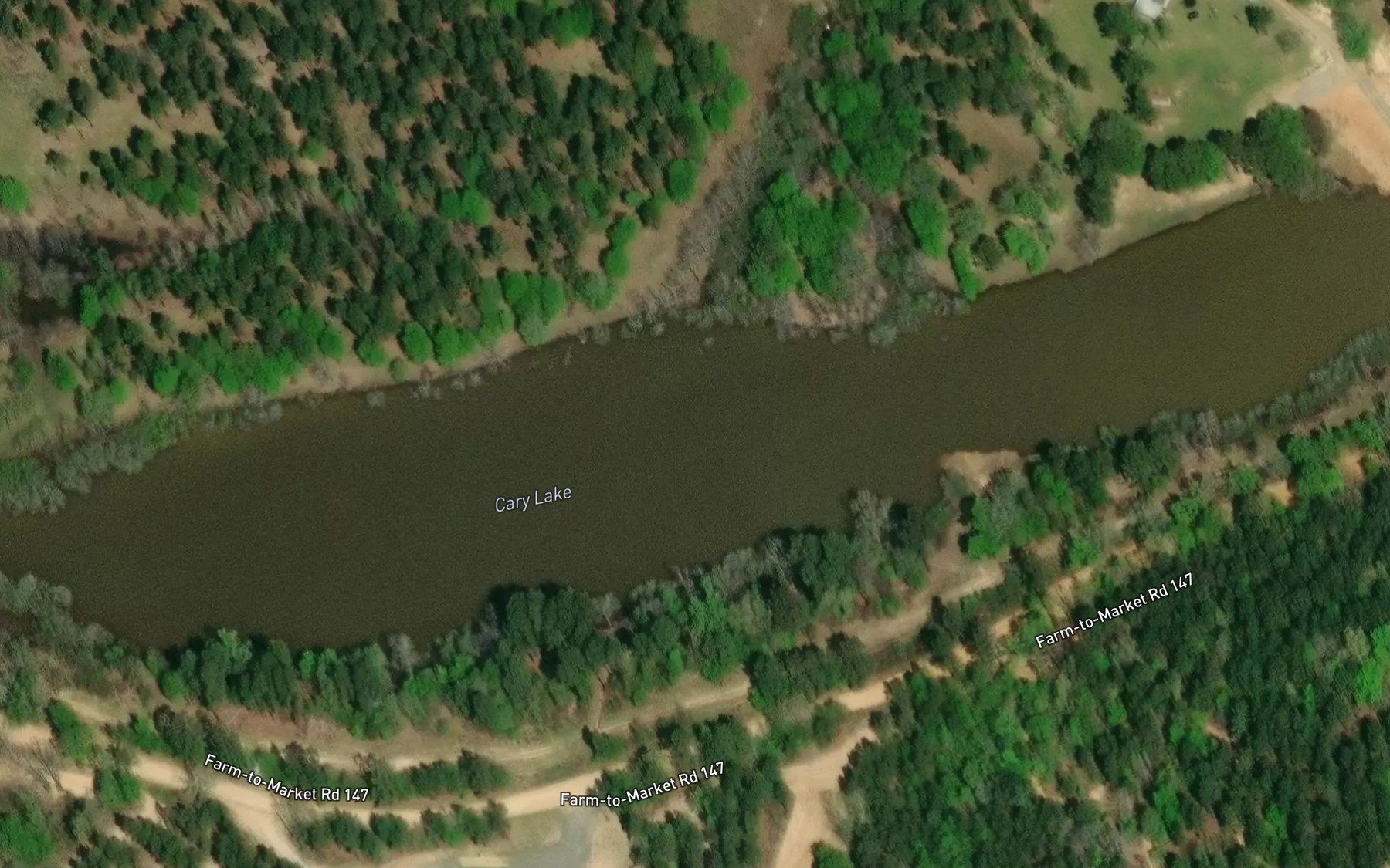 Satellite map of the Cary Lake