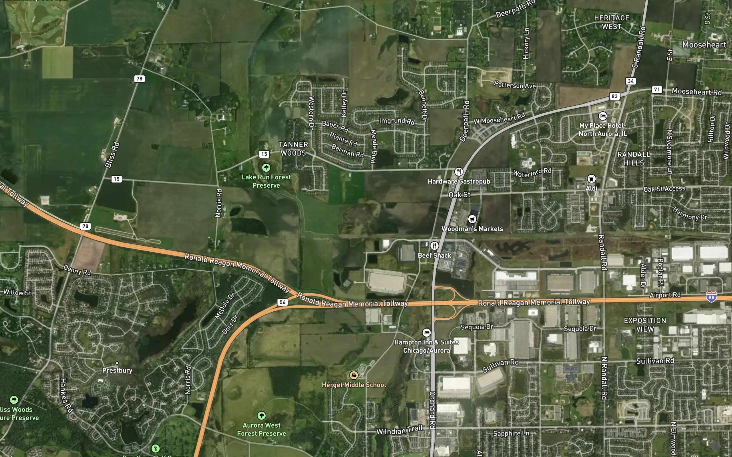 Lake Run North of I-88 Overflow East Branch