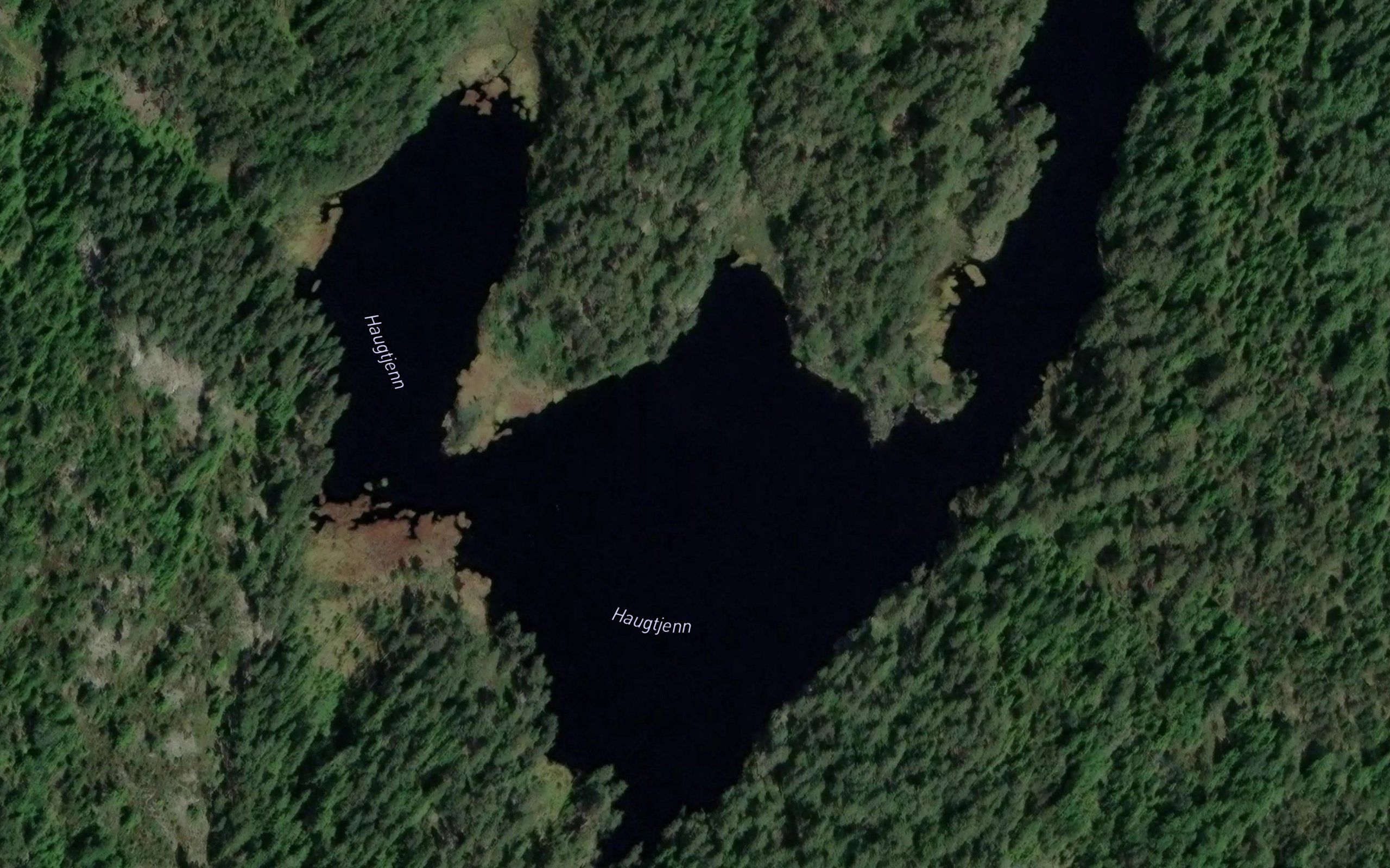 Haugtjern
