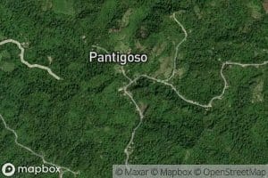 Arroyo Quebrada Palma