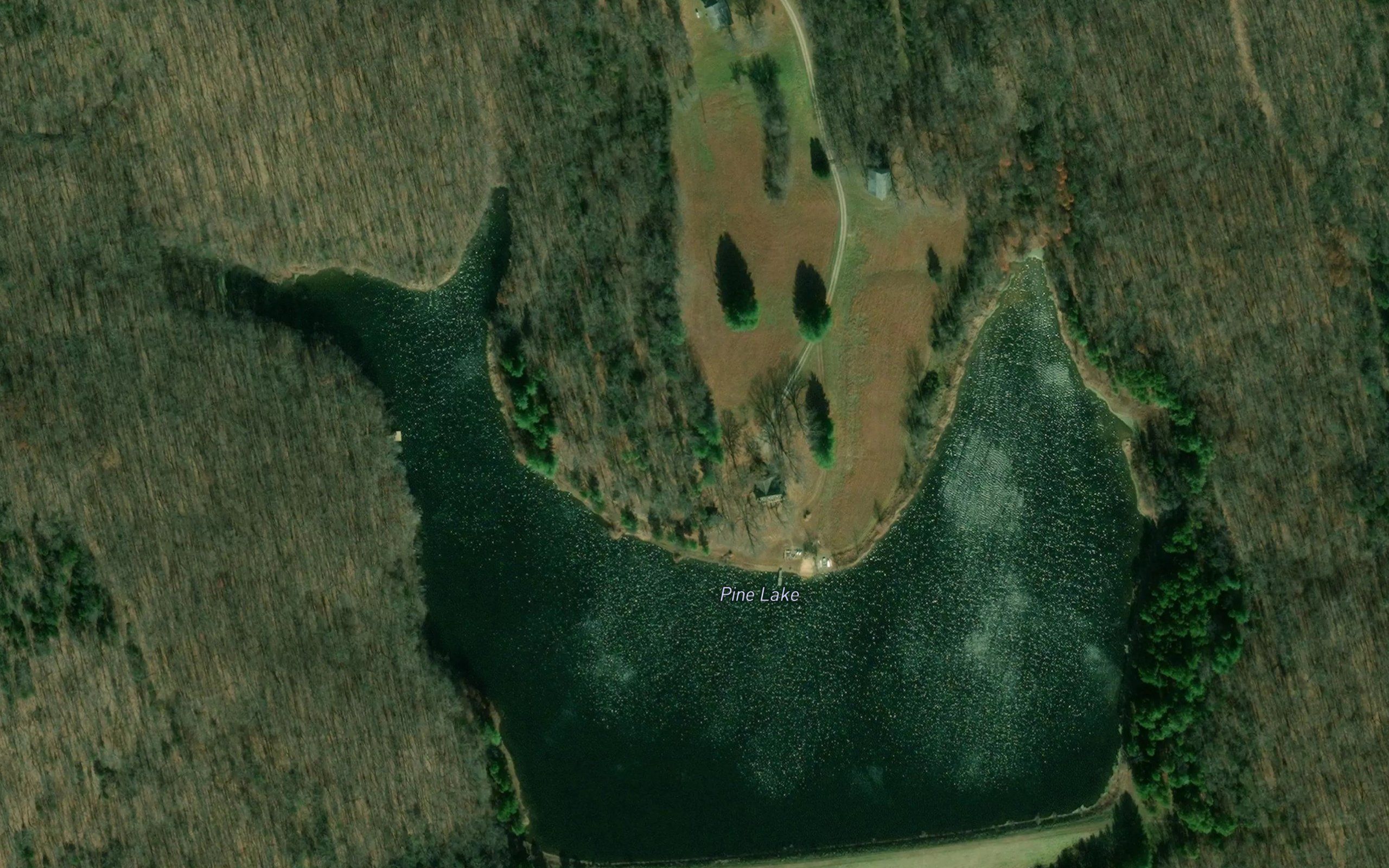 Pine Lake