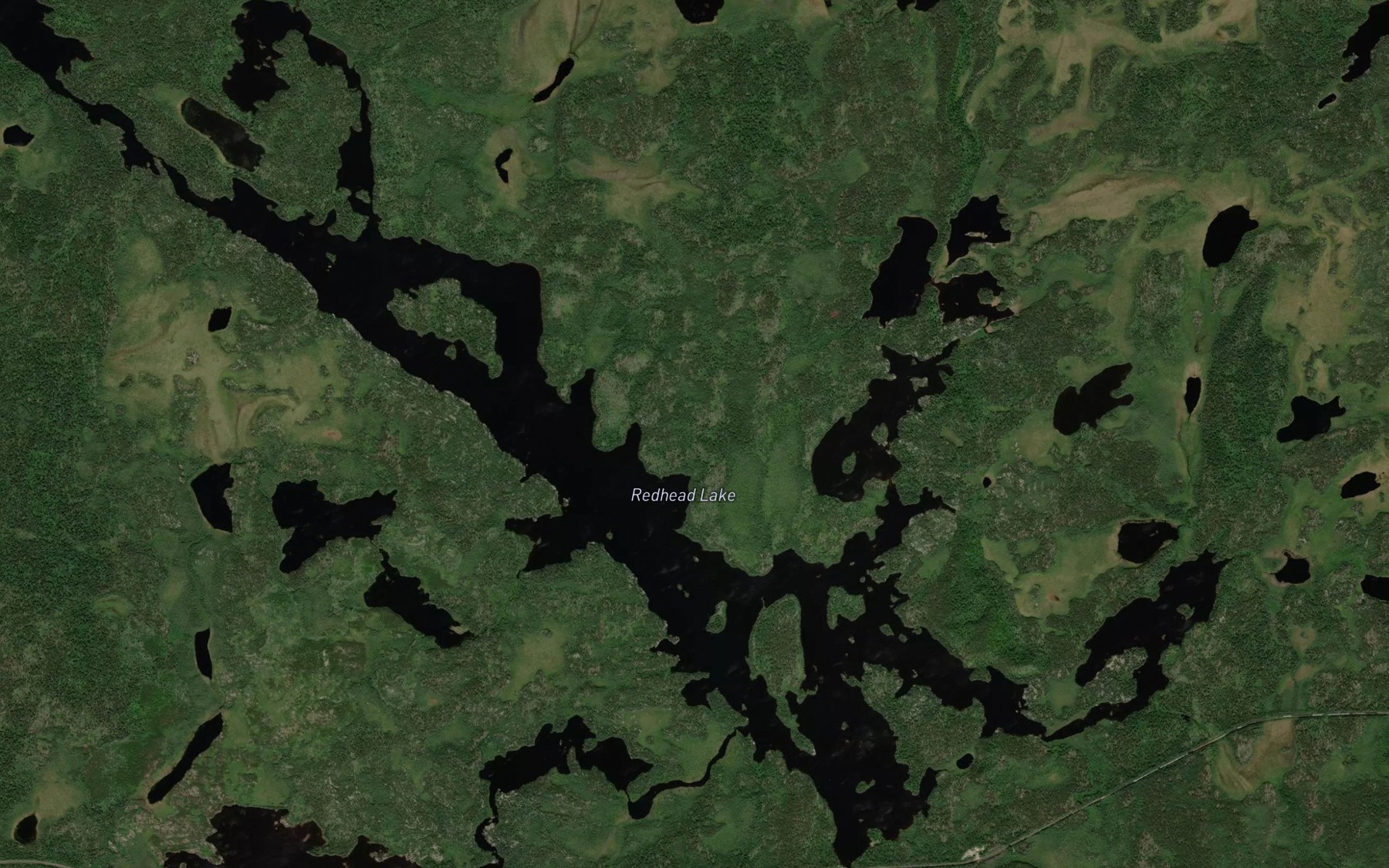 Satellite map of the Redhead Lake