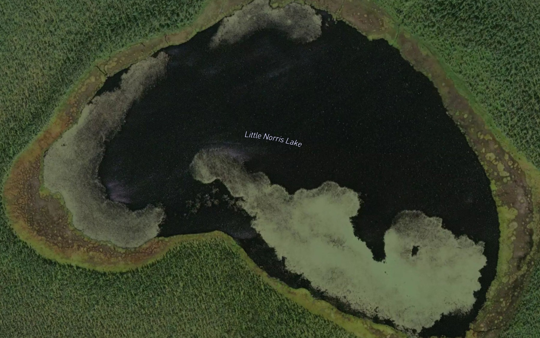 Satellite map of the Little Norris Lake