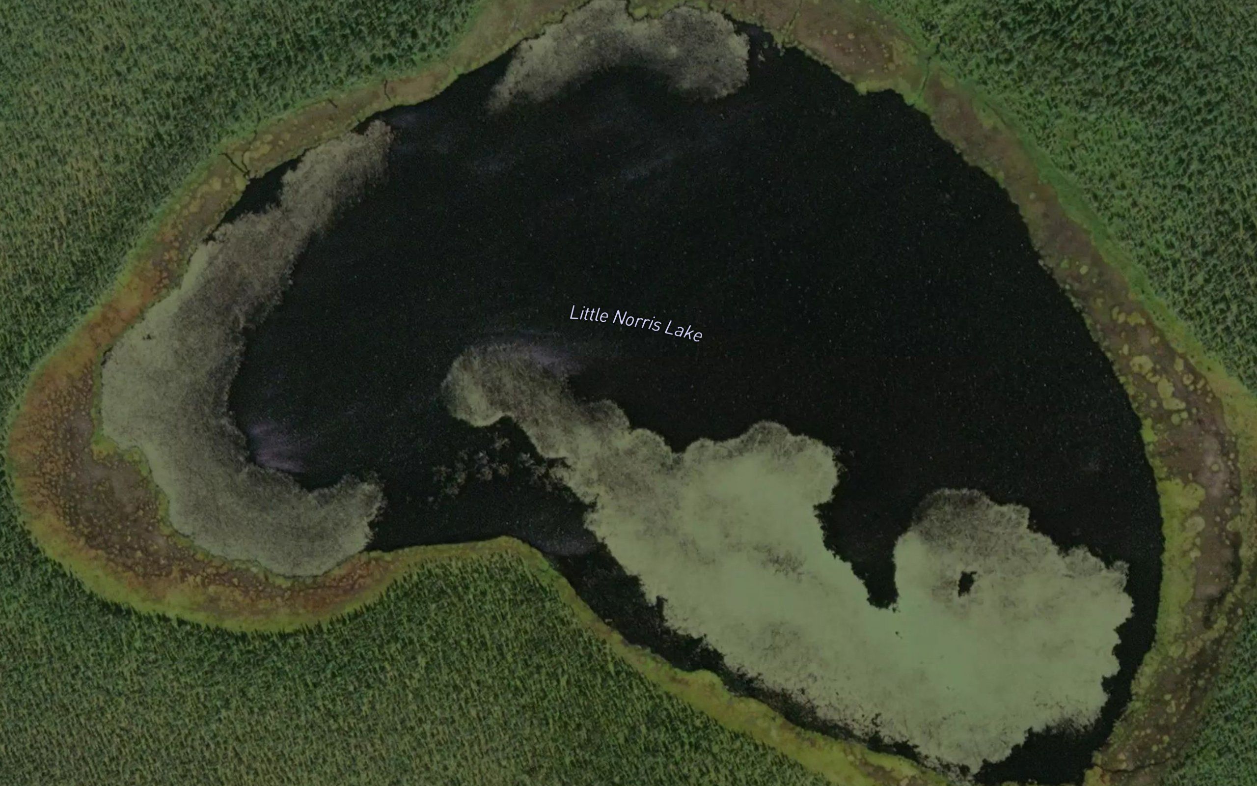 Little Norris Lake
