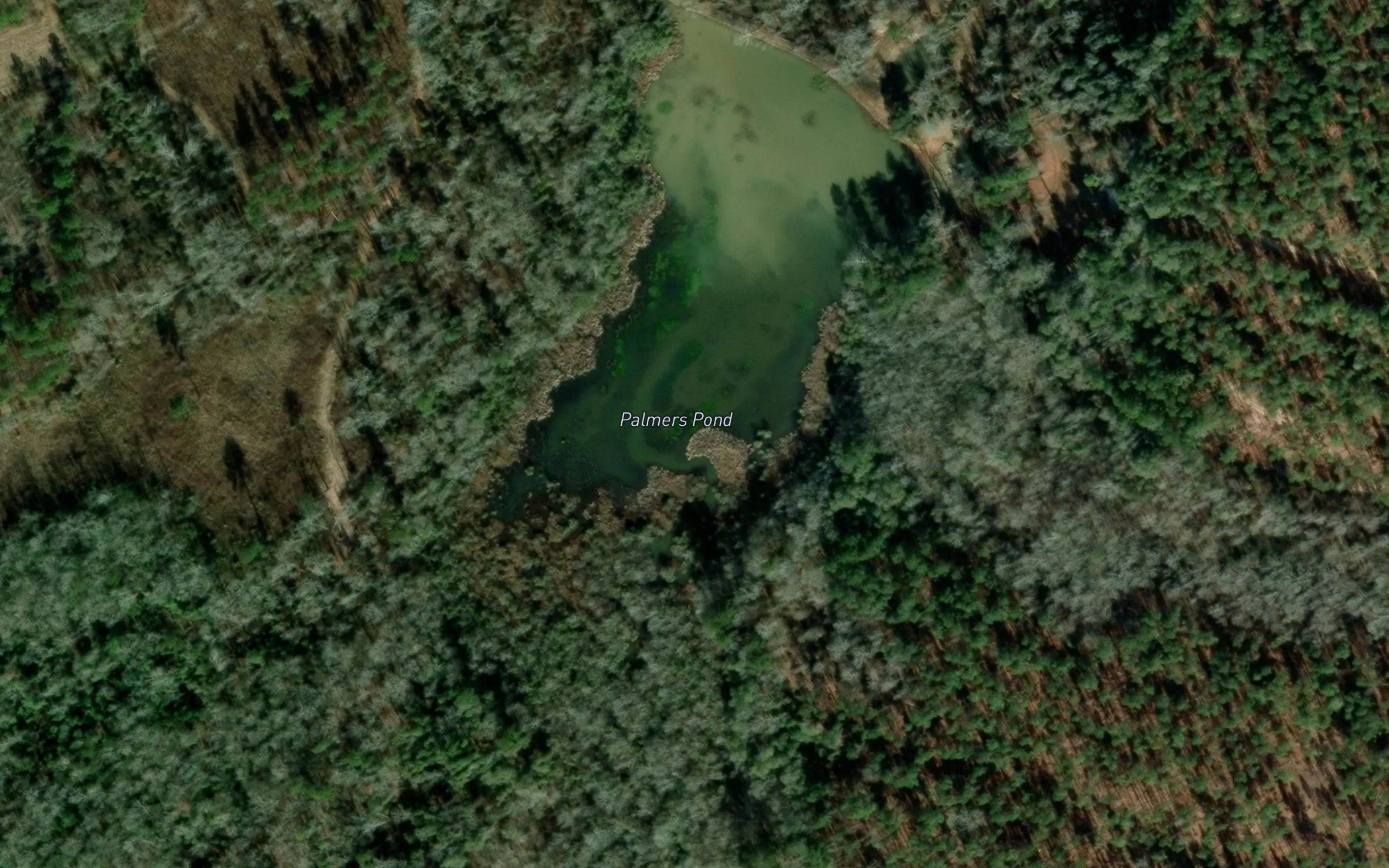 Palmers Pond