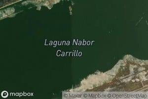 Laguna Nabor Carrillo
