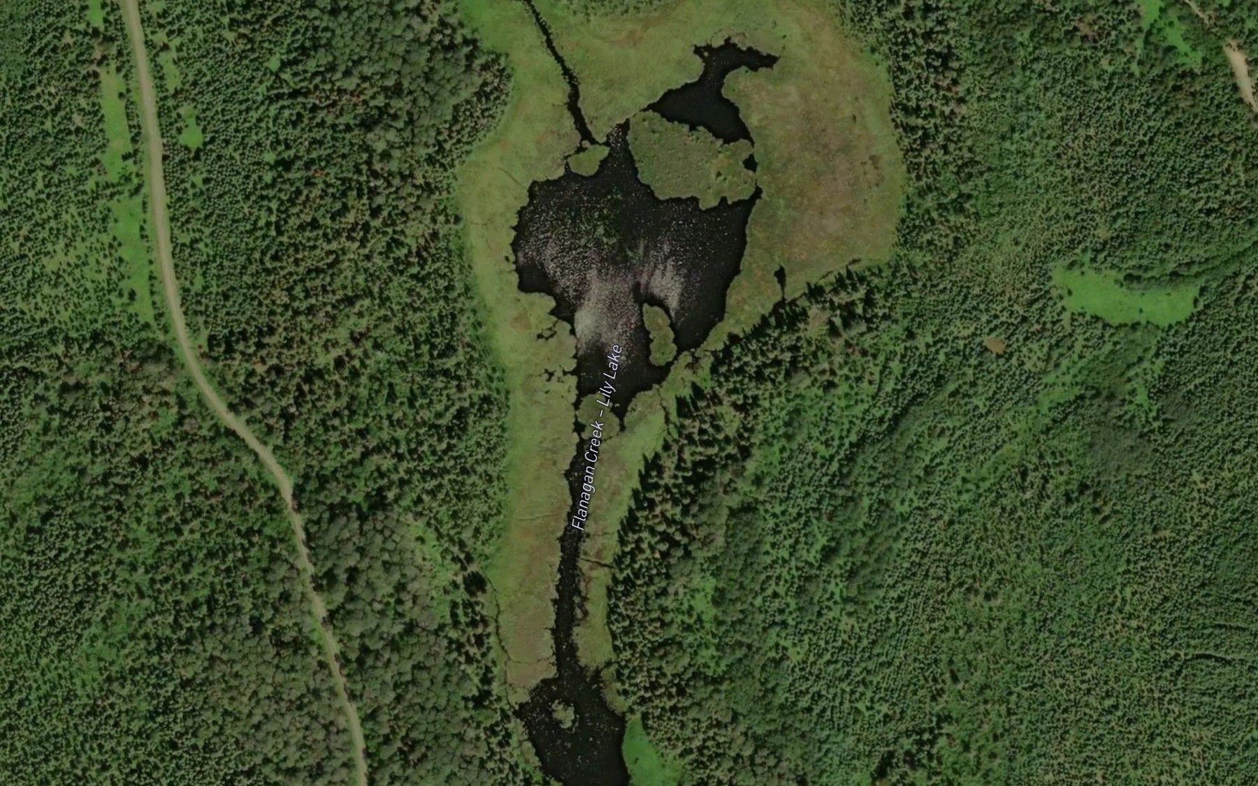 Satellite map of the Lily Lake