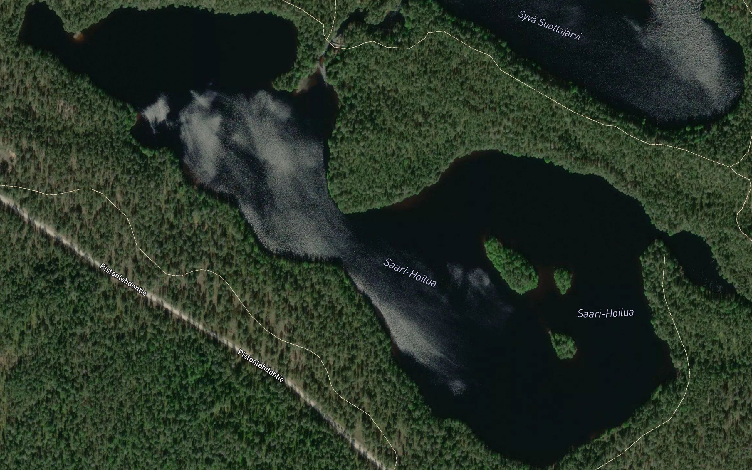 Saari-Hoilua