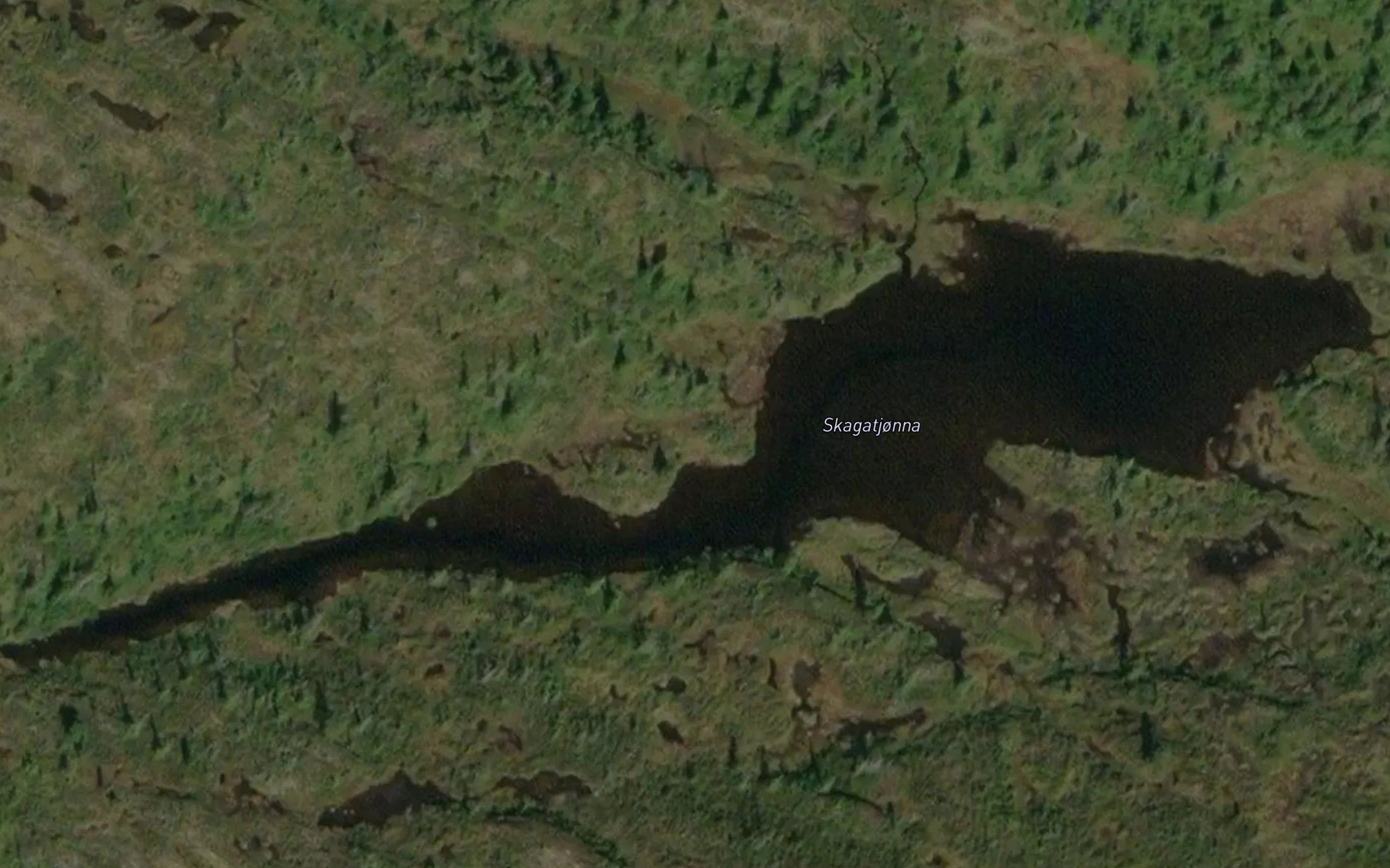Skagatjorna
