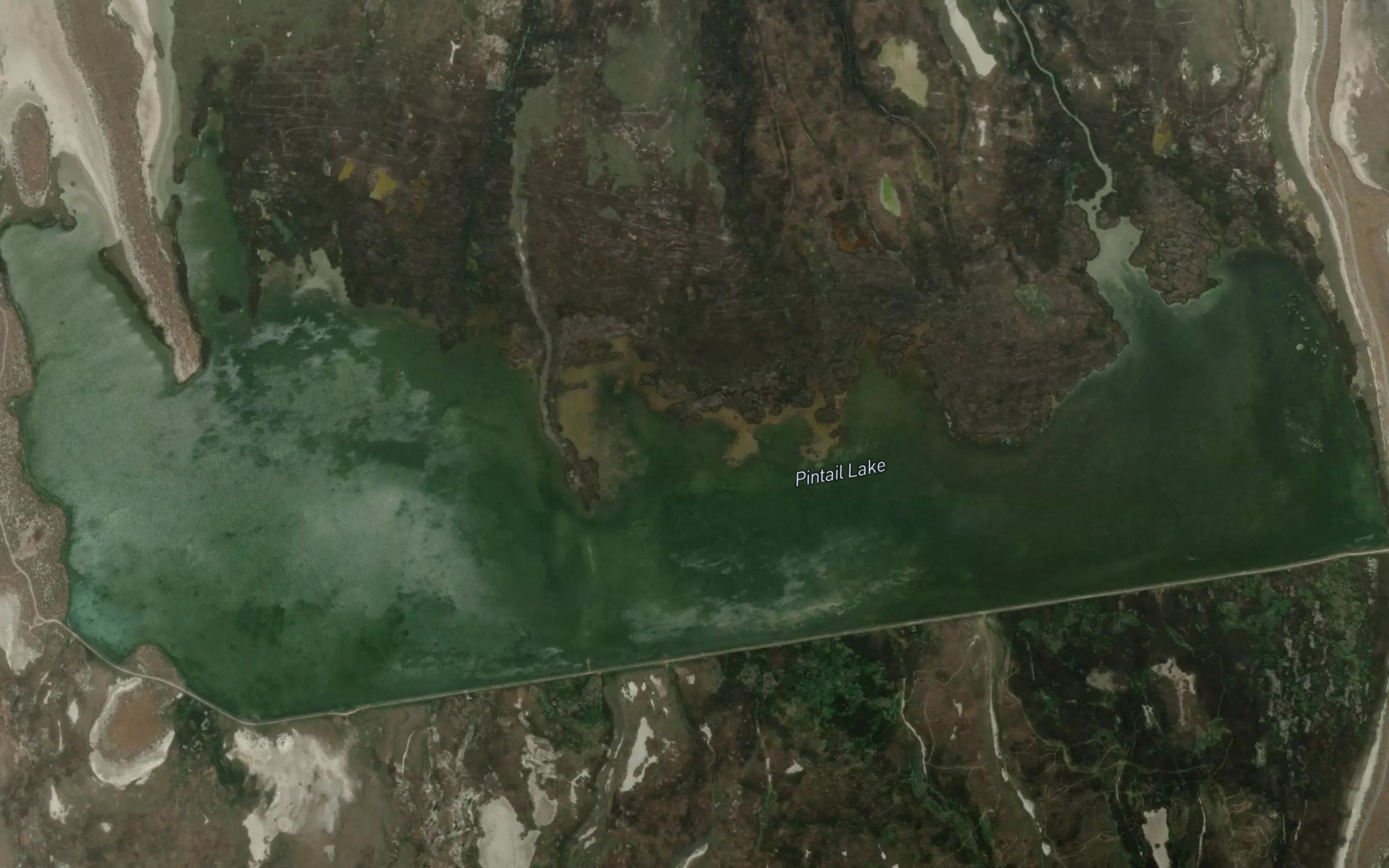 Pintail Lake