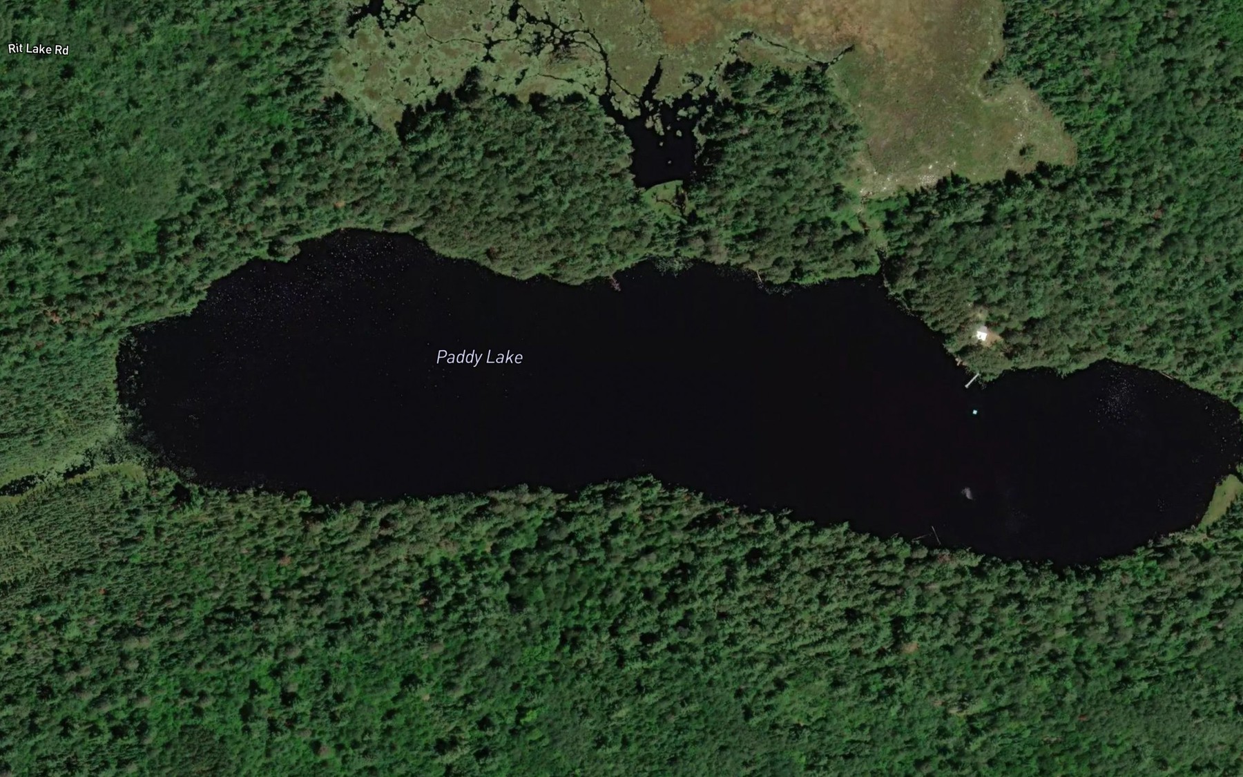 Satellite map of the Paddy Lake