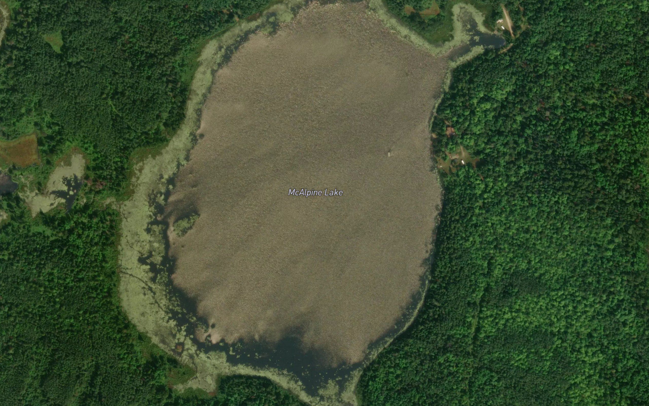 McAlpine Lake