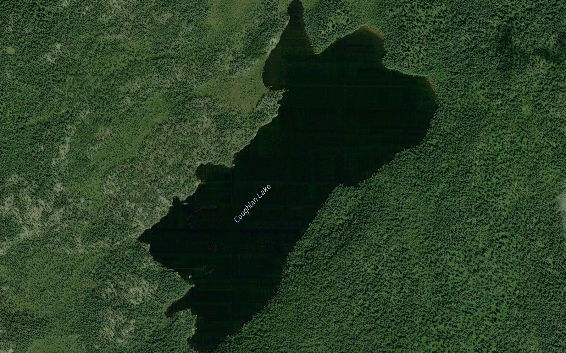 Satellite map of the Coughlan Lake