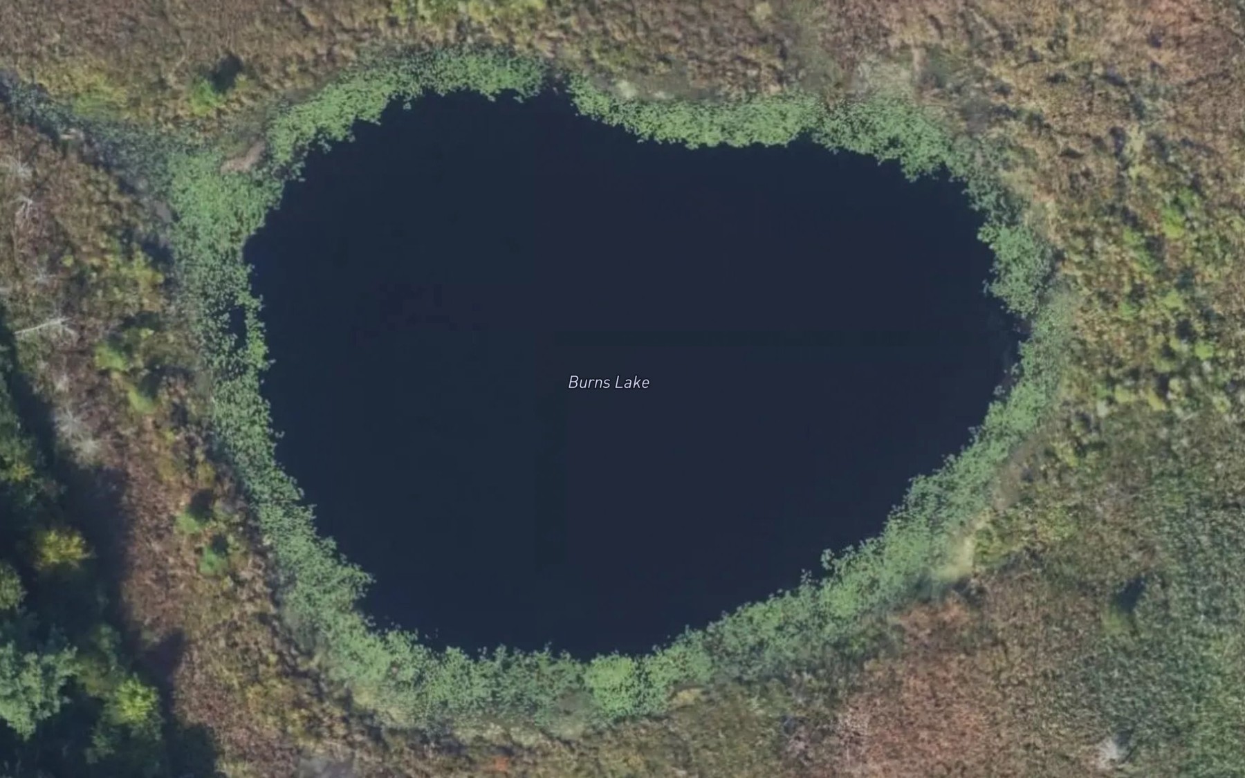 Satellite map of the Burns Lake
