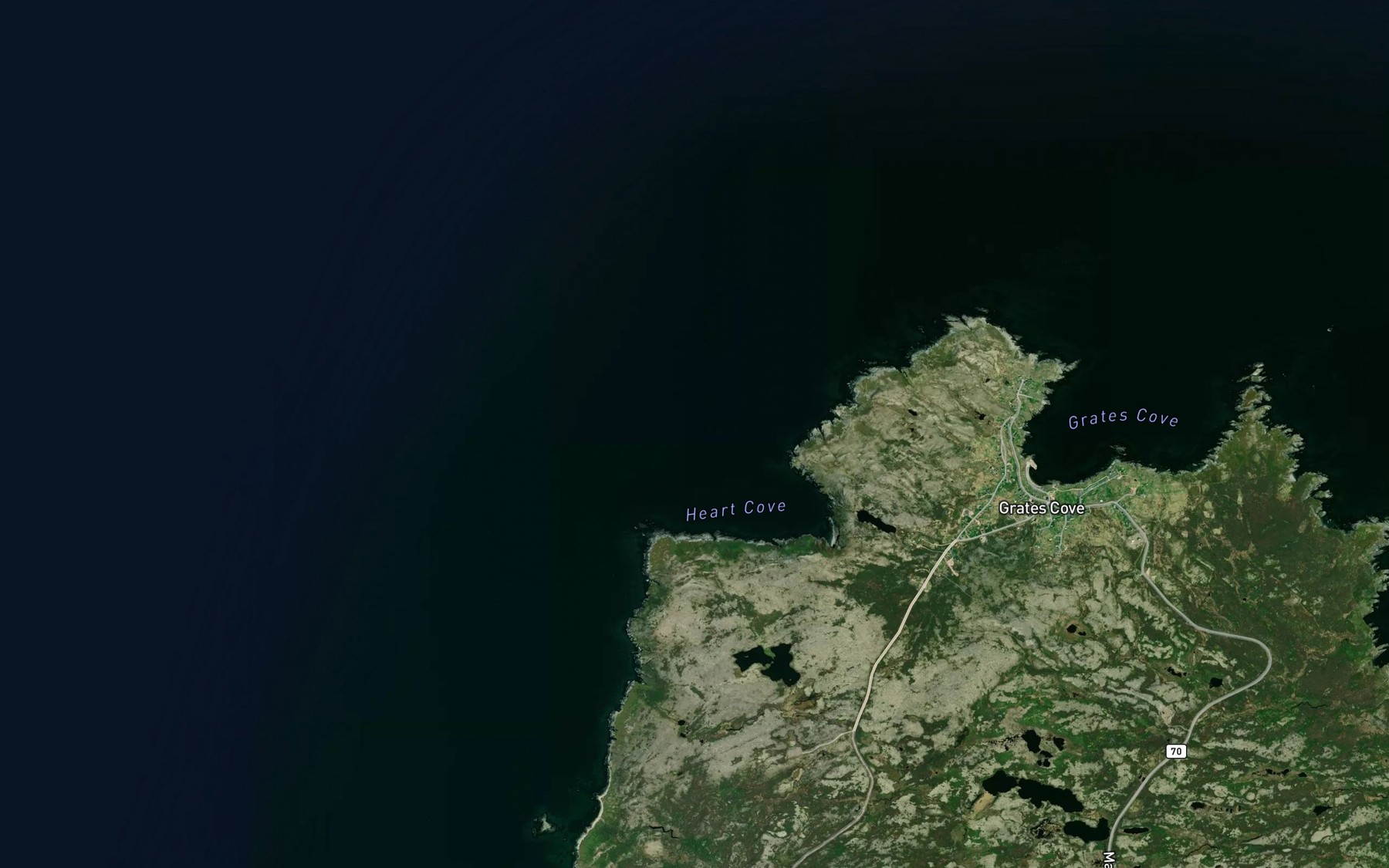 Satellite map of the Heart Cove
