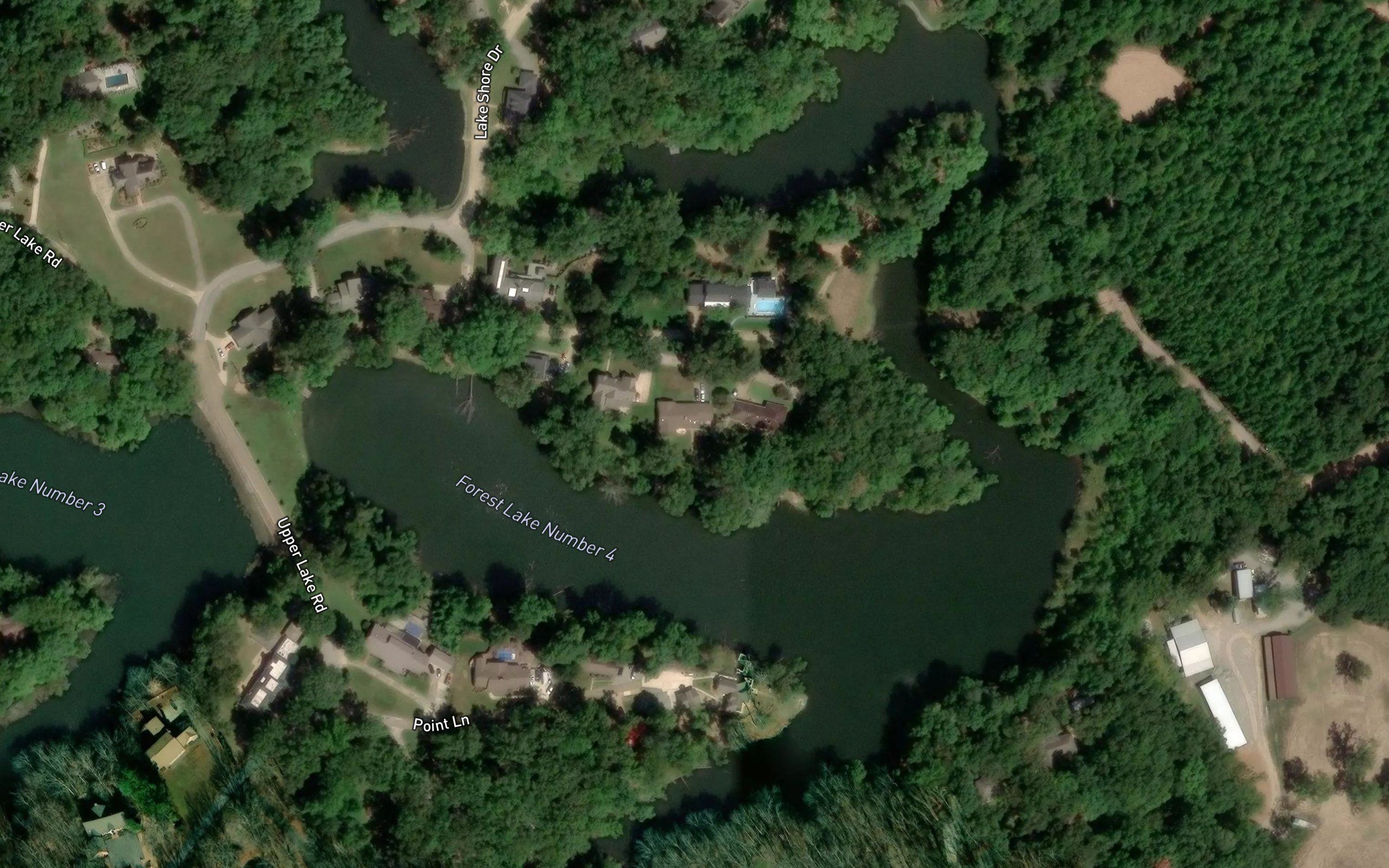 Forest Lake Number 4