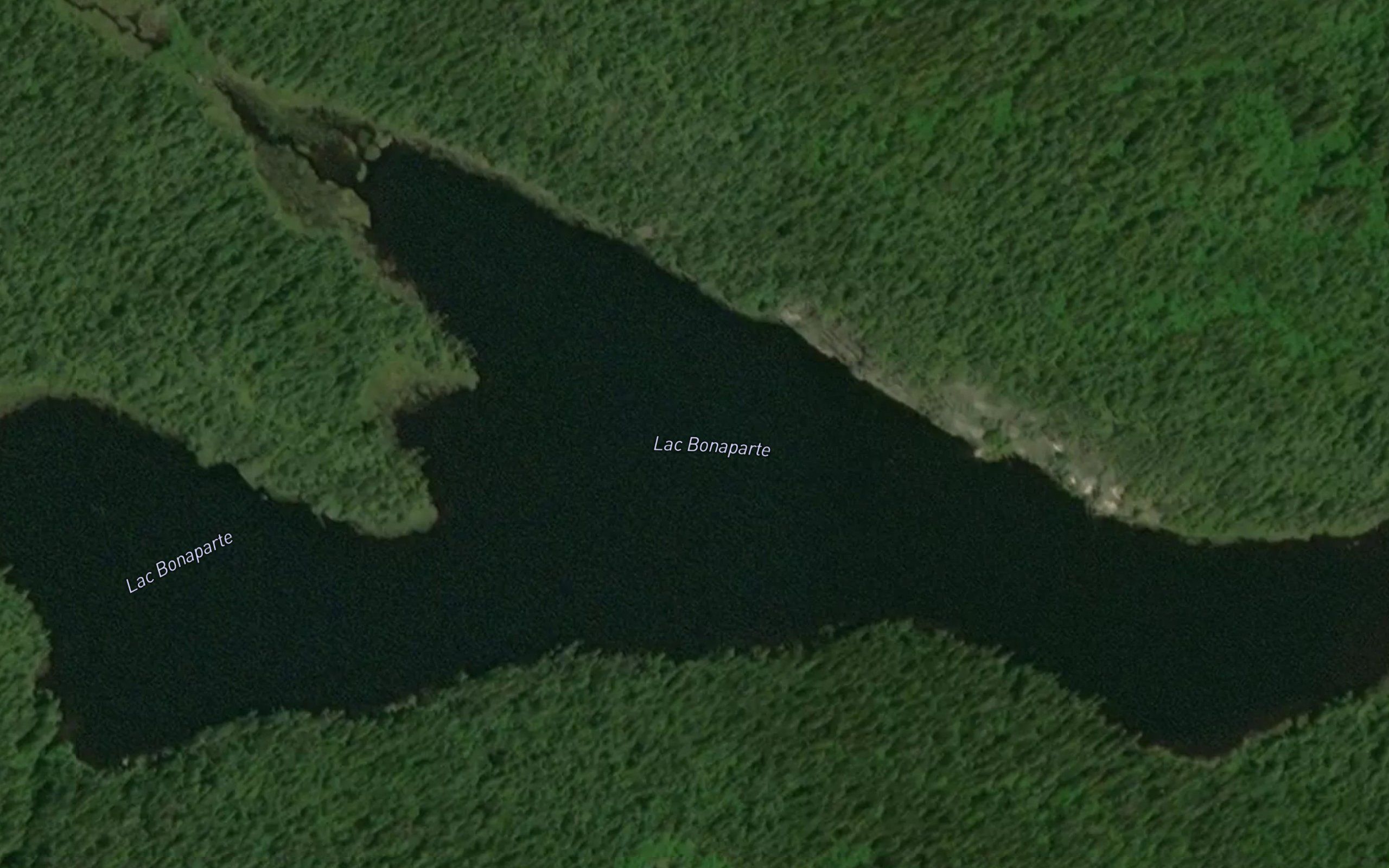 Lac Bonaparte