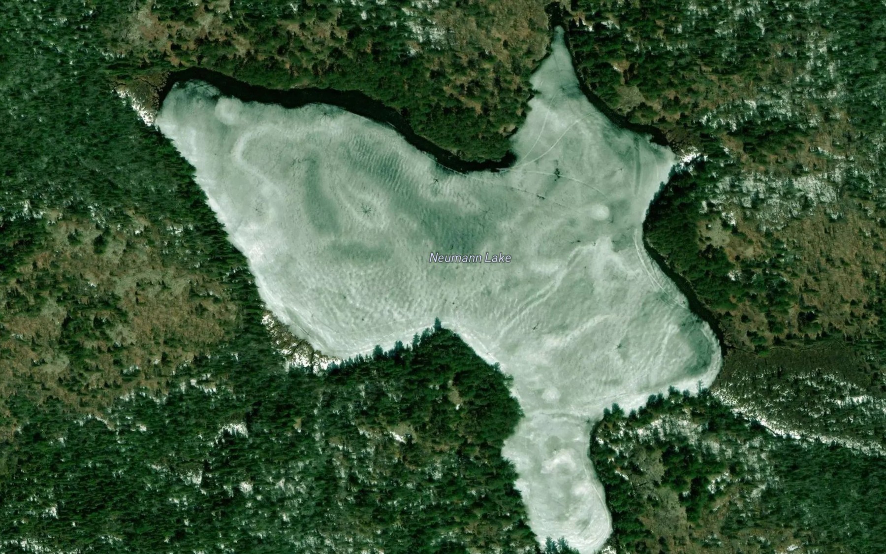 Satellite map of the Neumann Lake