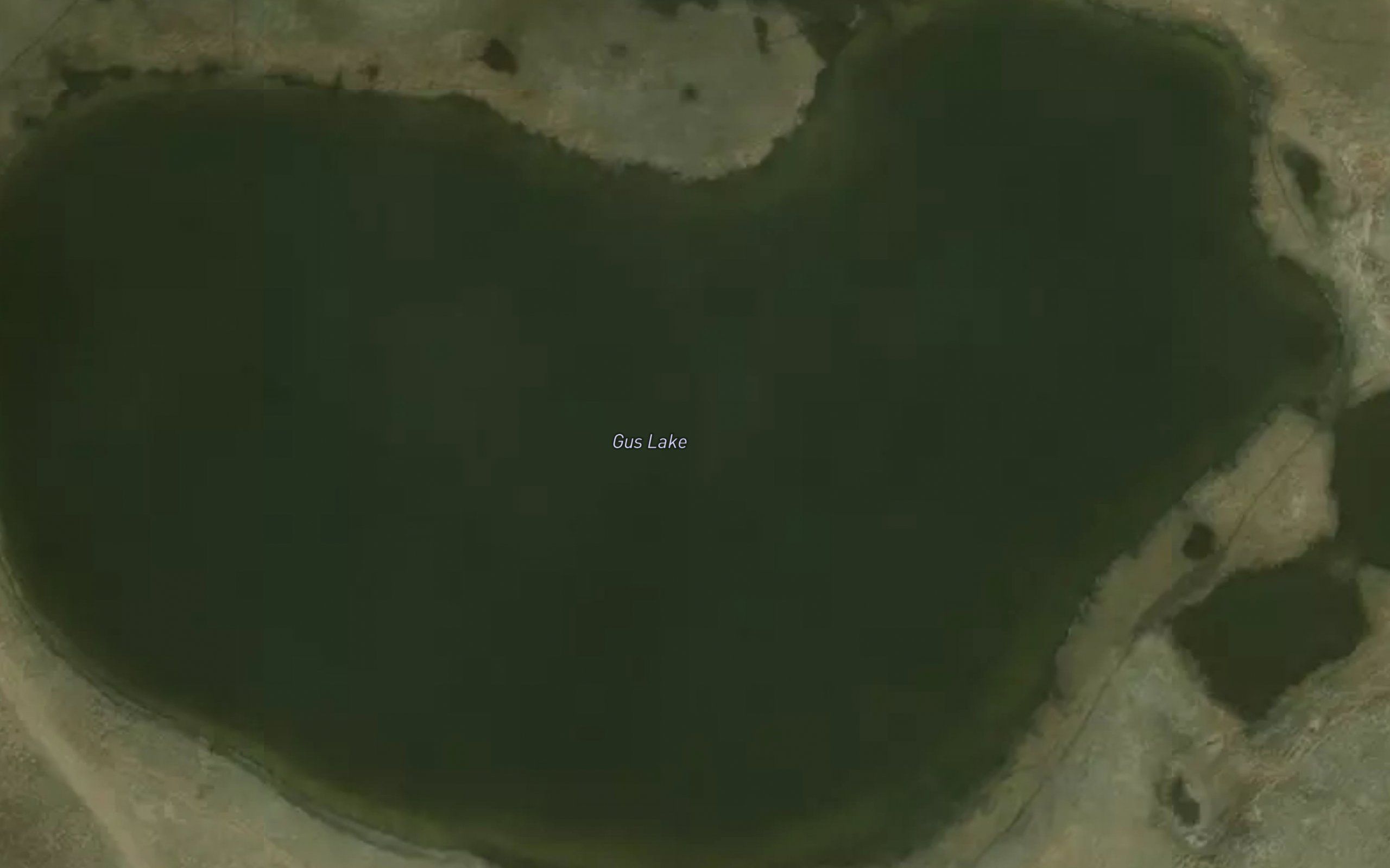Gus Lake