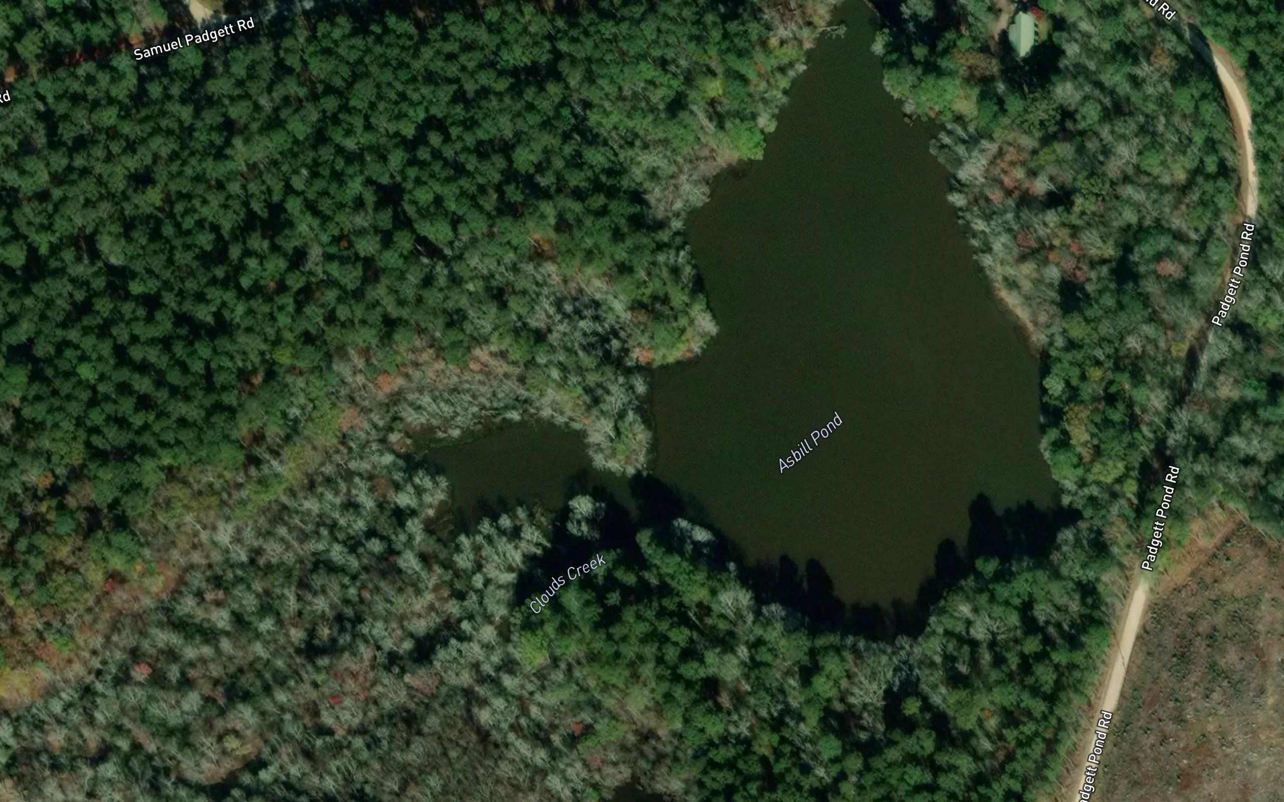 Asbill Pond