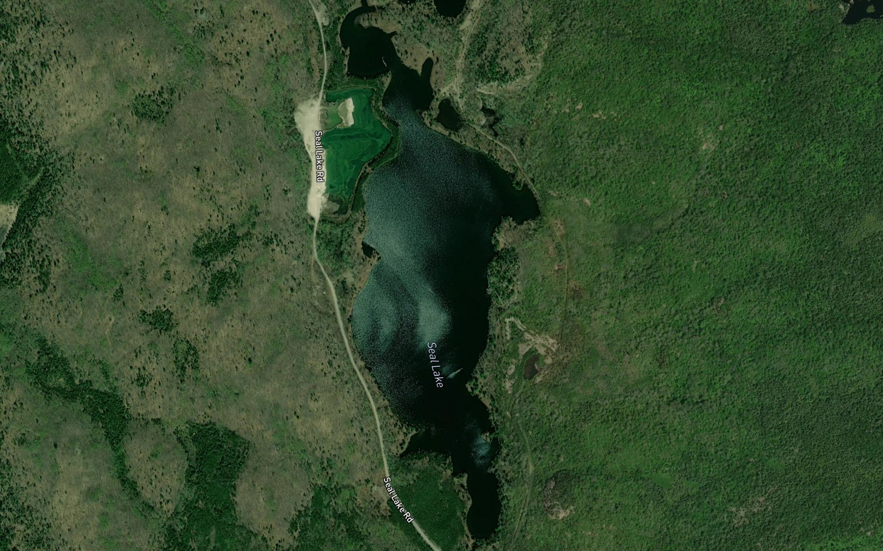Satellite map of the Seal Lake