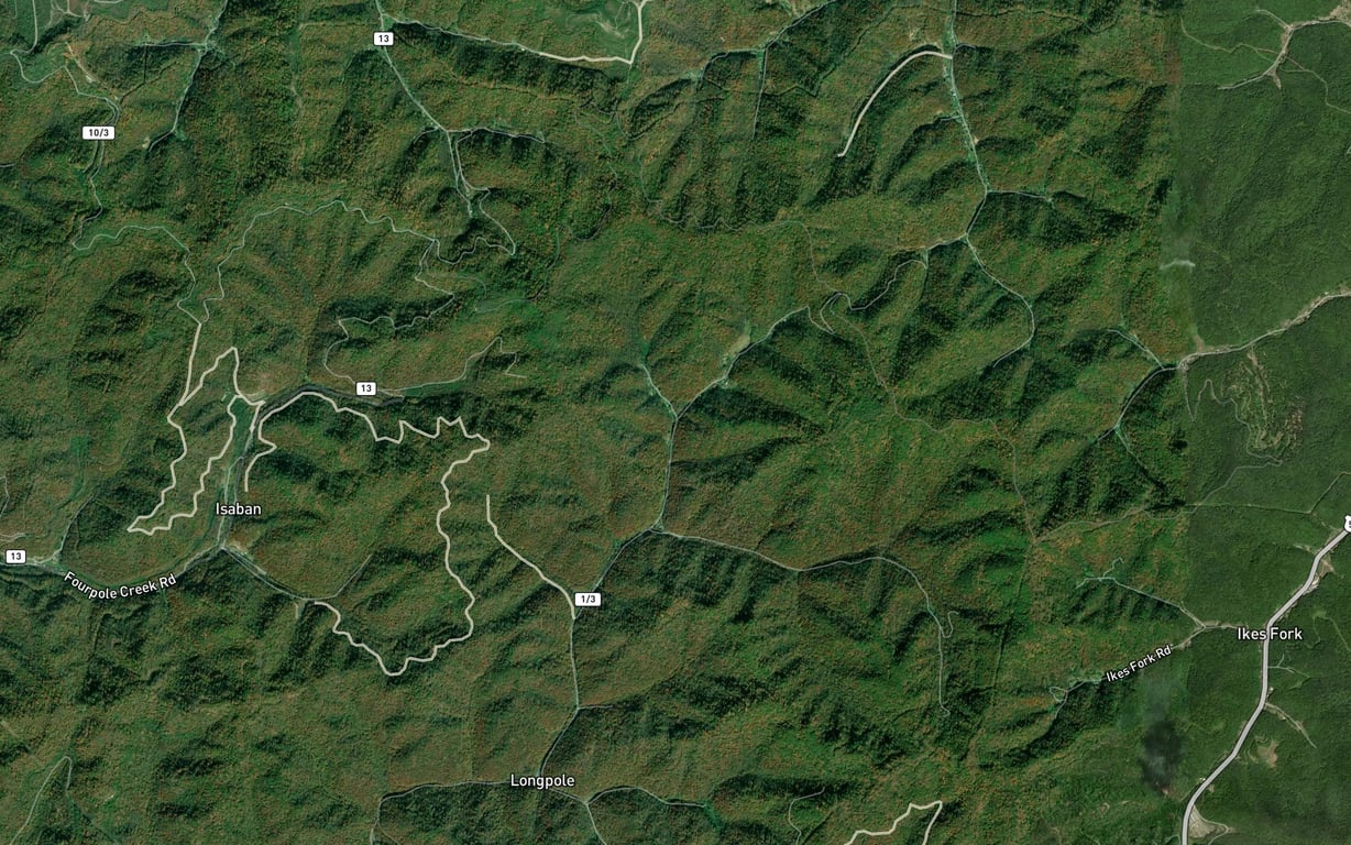 Brushy Fork Fishing in West Virginia 2026 — Live Reports, Forecast & AI ...