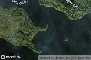Hissjoen