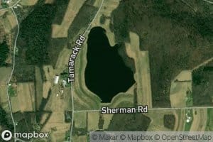 Tamarack Pond