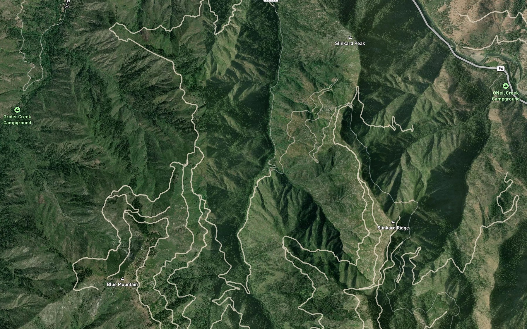 Satellite map of the East Walker Creek