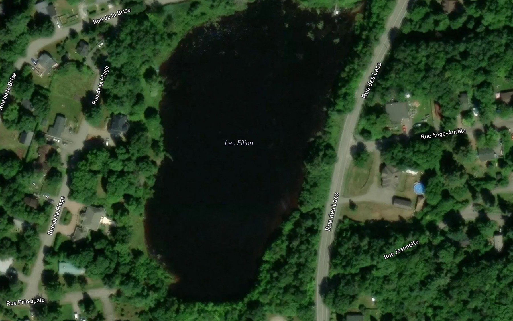 Satellite map of the Lac Filion