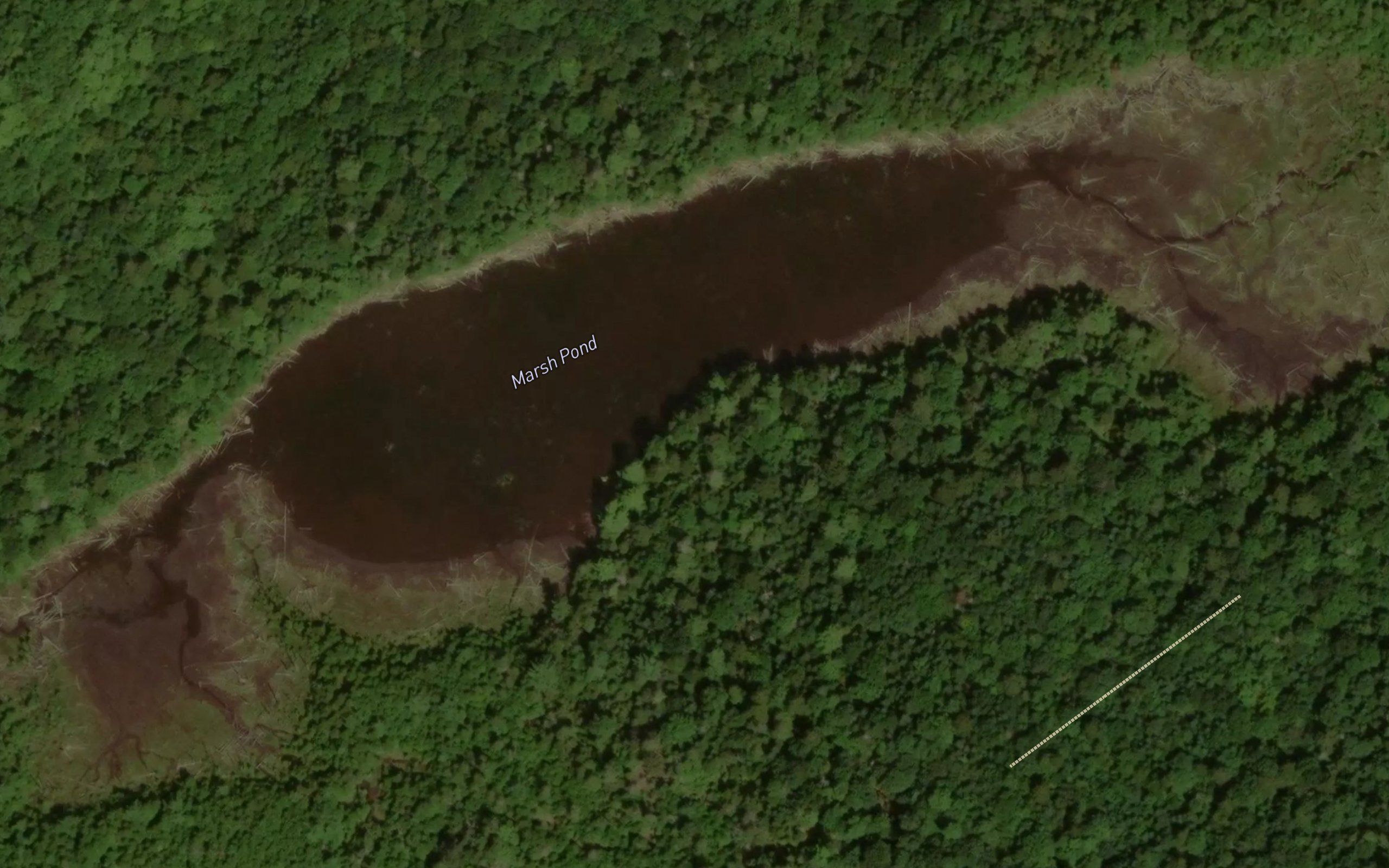 Marsh Pond