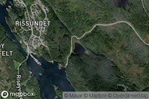 Skipeidtjorni