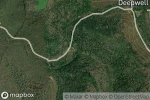 Groves Spring Branch