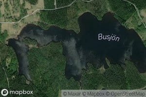 Busjon