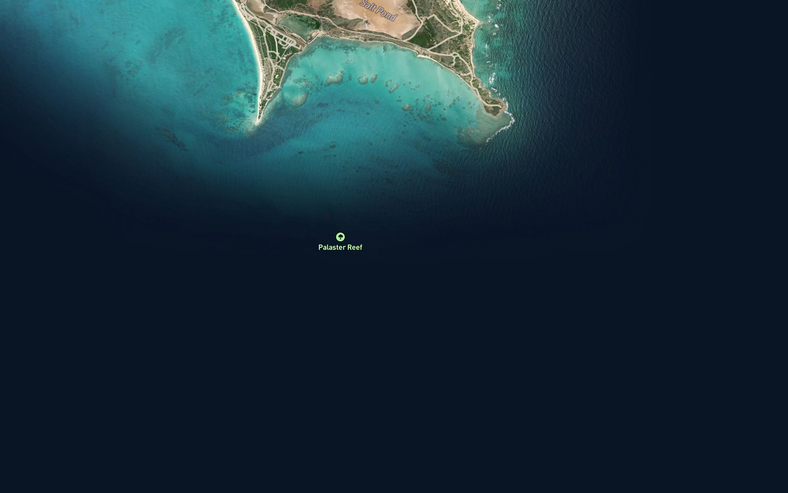 Palaster Reef