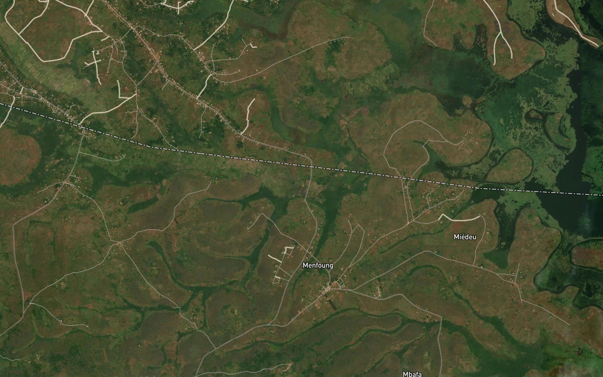 Ngona
