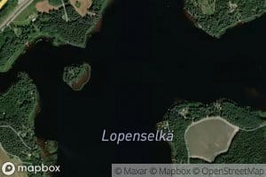 Lopenselkae
