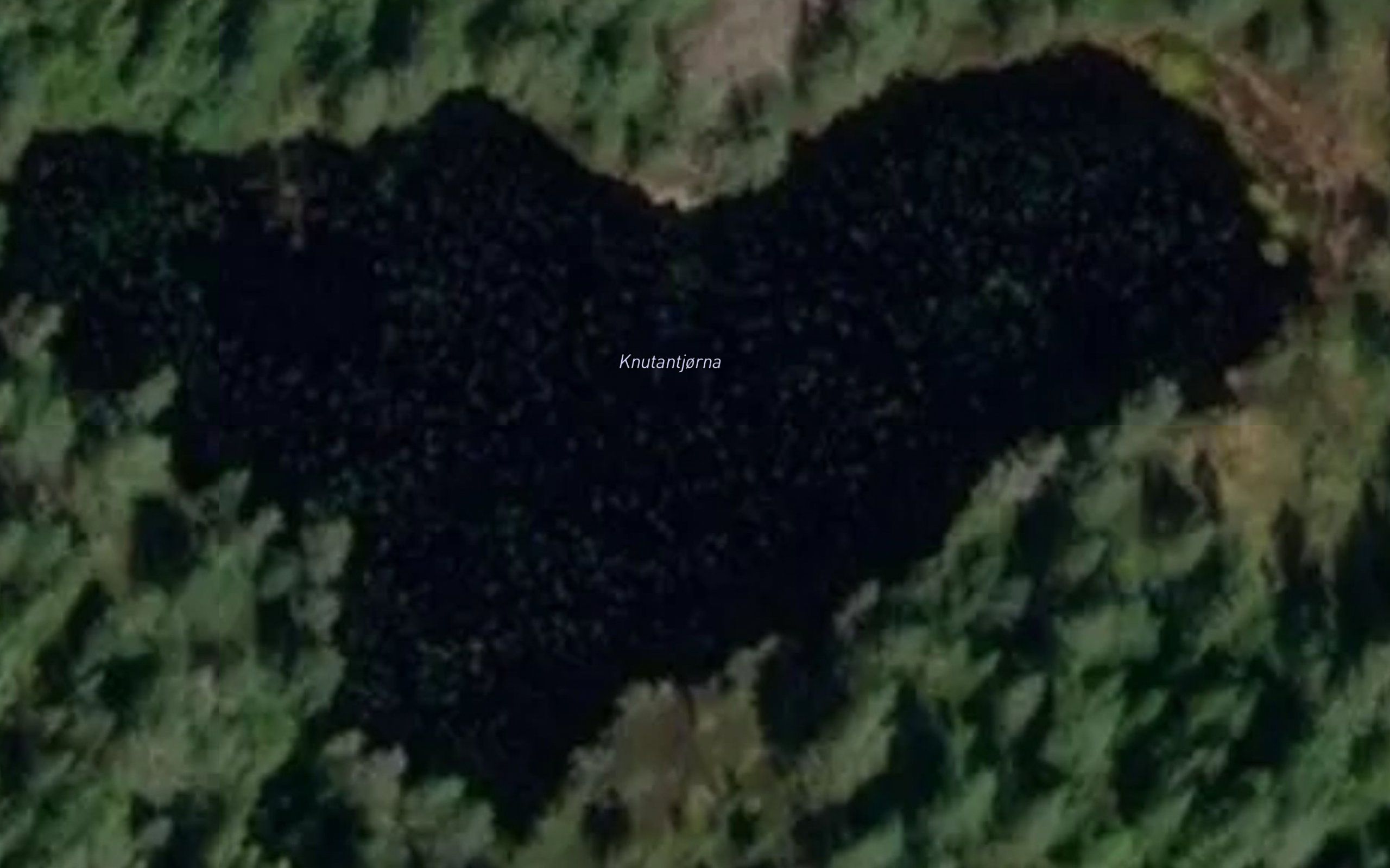 Knutantjorna