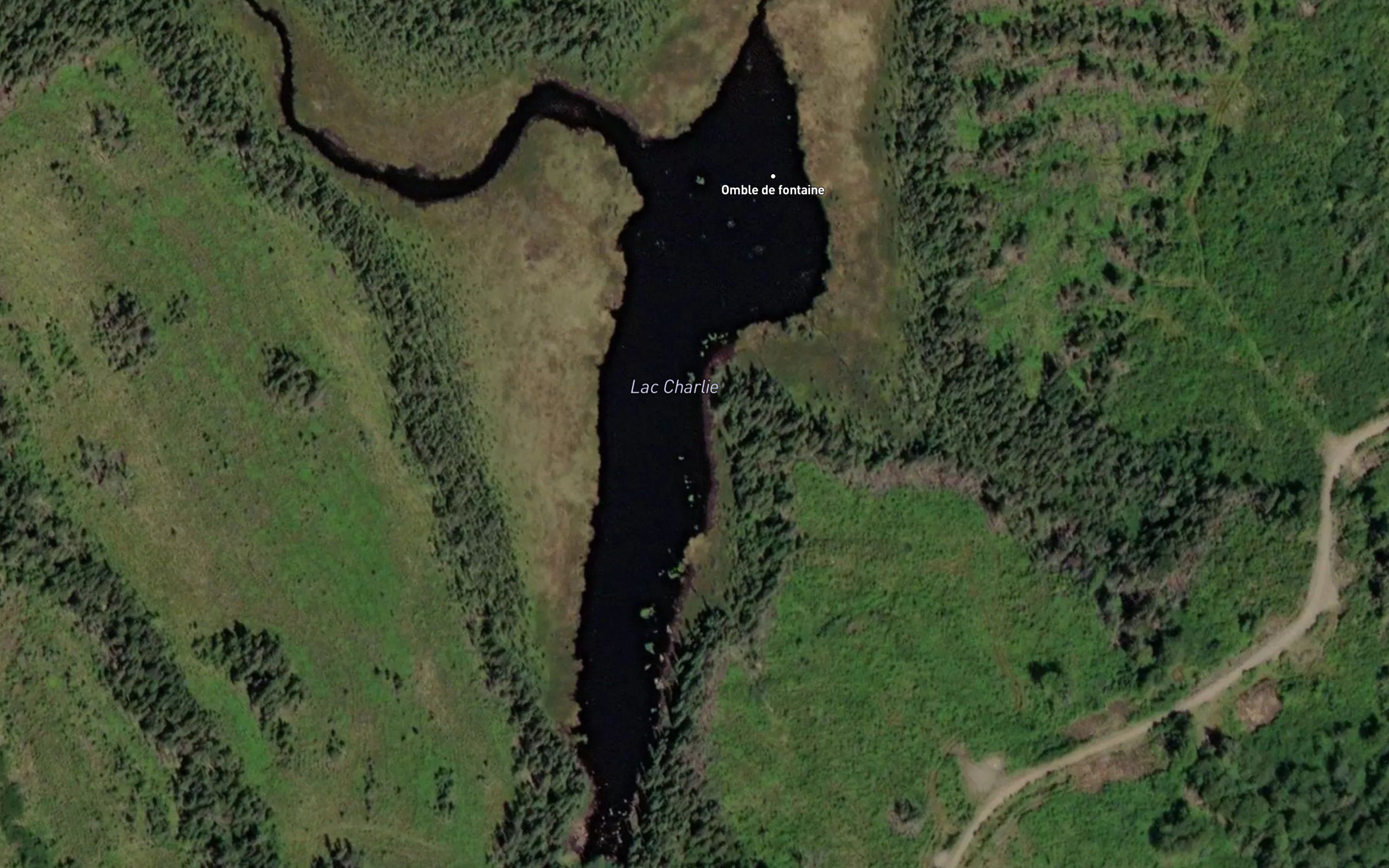 Lac Charlie