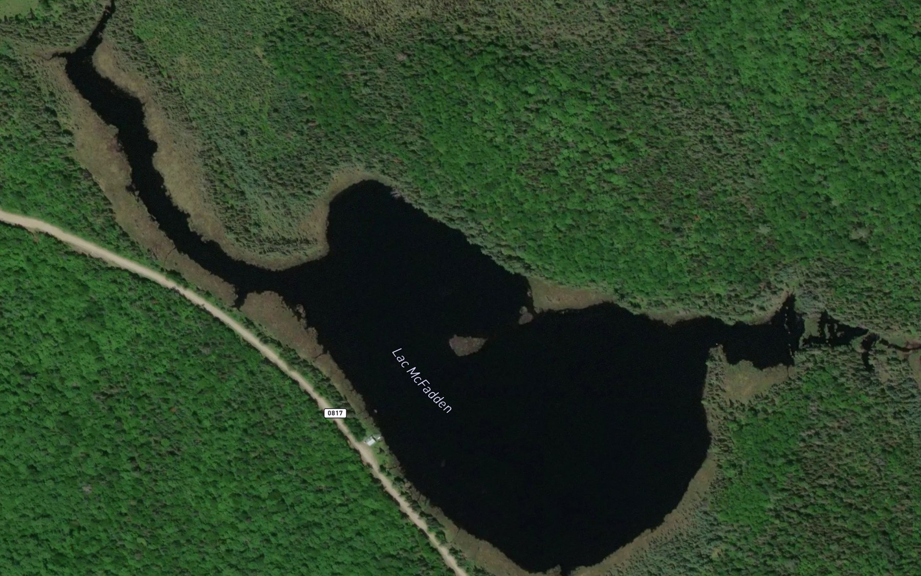 Satellite map of the Lac McFadden