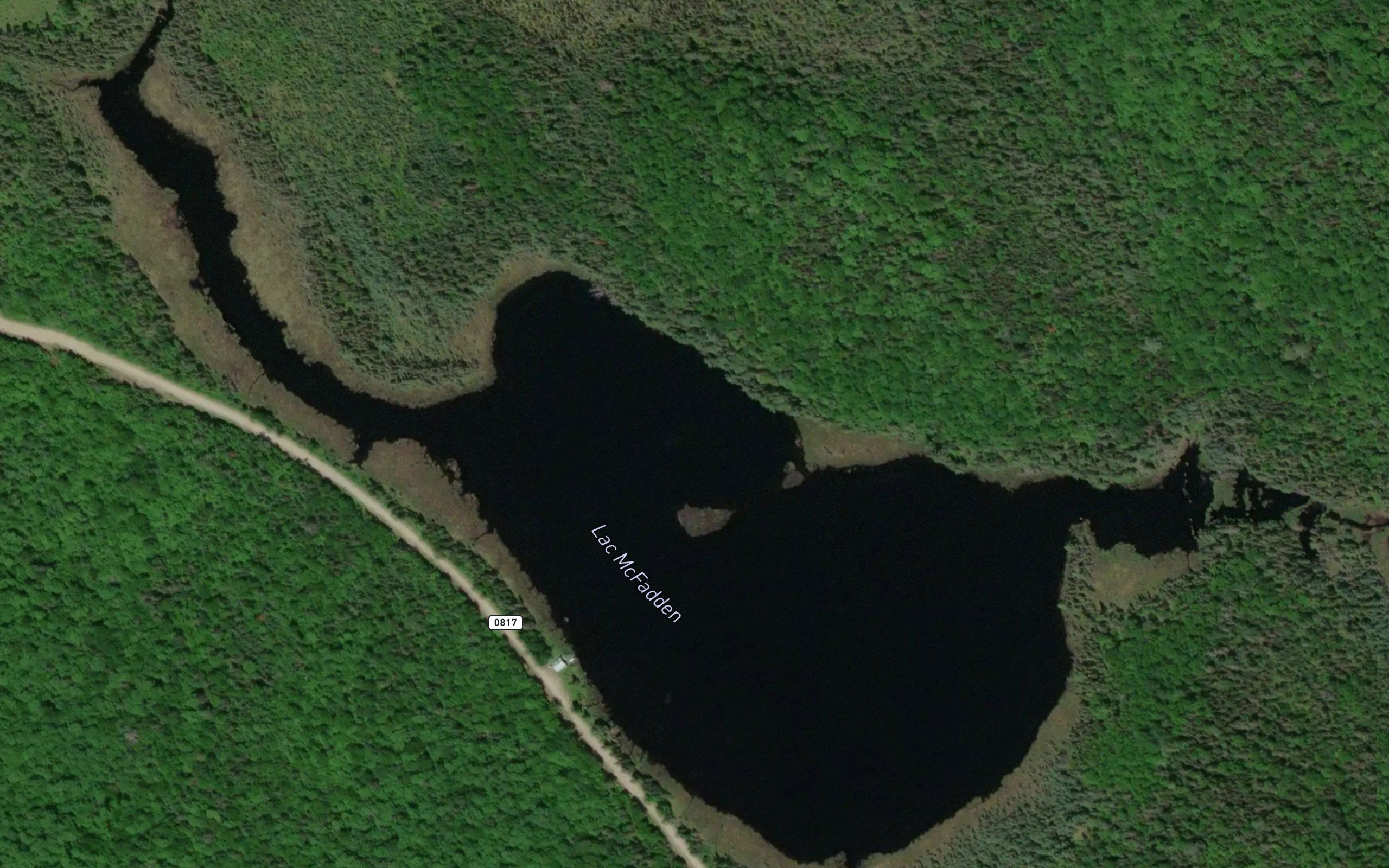 Lac McFadden