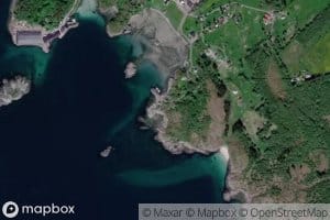 Gasvika