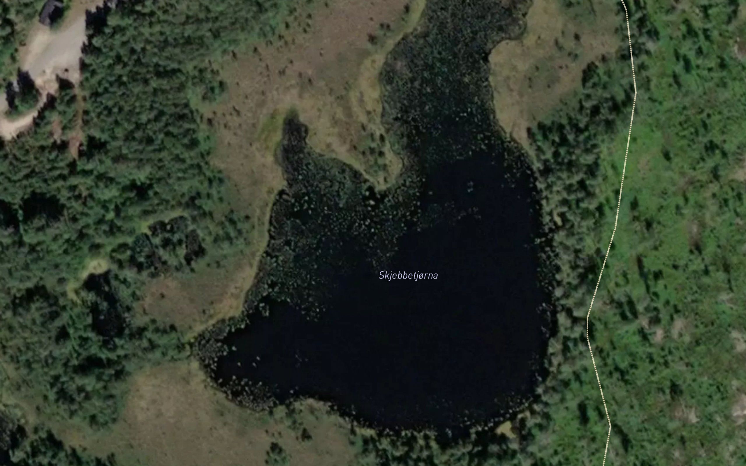 Skjebbetjorna