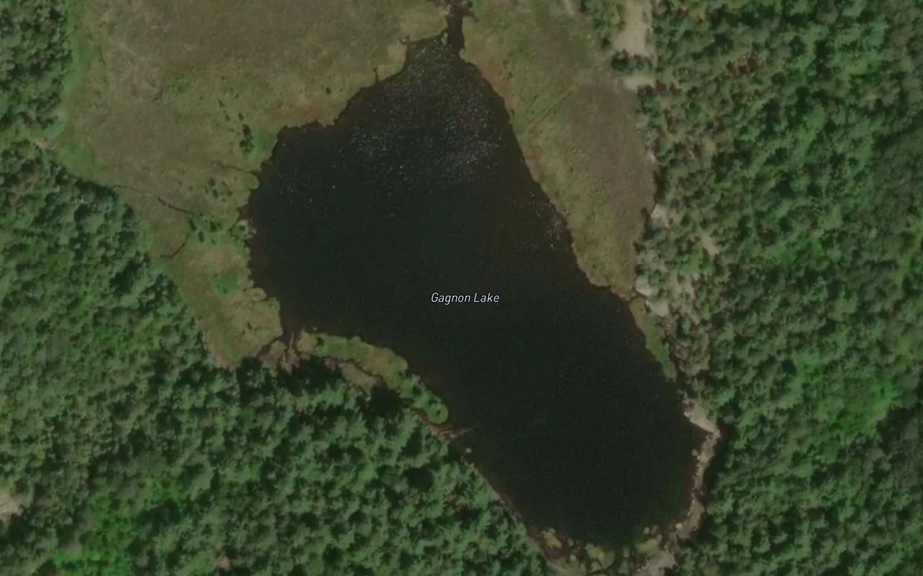 Satellite map of the Gagnon Lake
