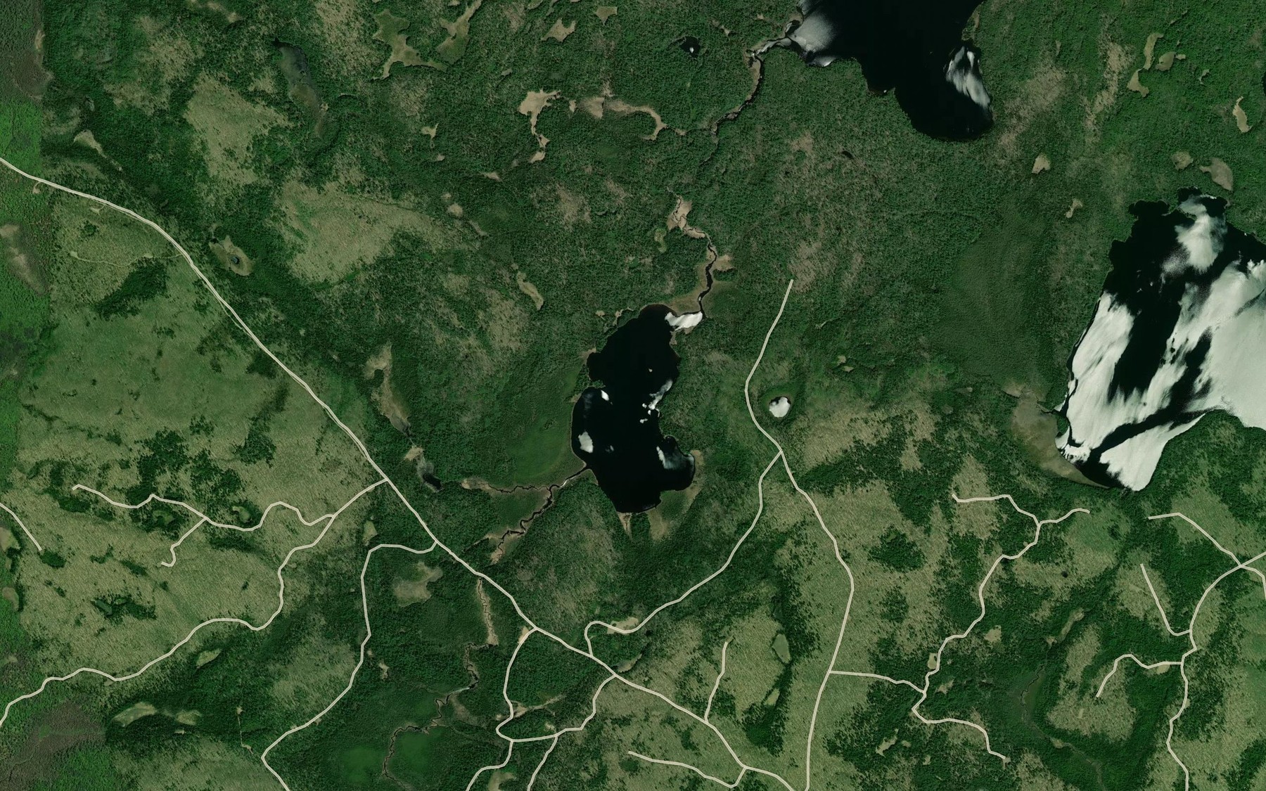 Satellite map of the Thomas Lake